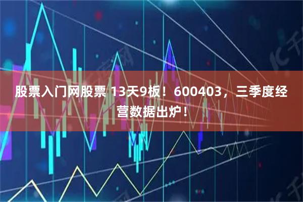 股票入门网股票 13天9板！600403，三季度经营数据出炉！